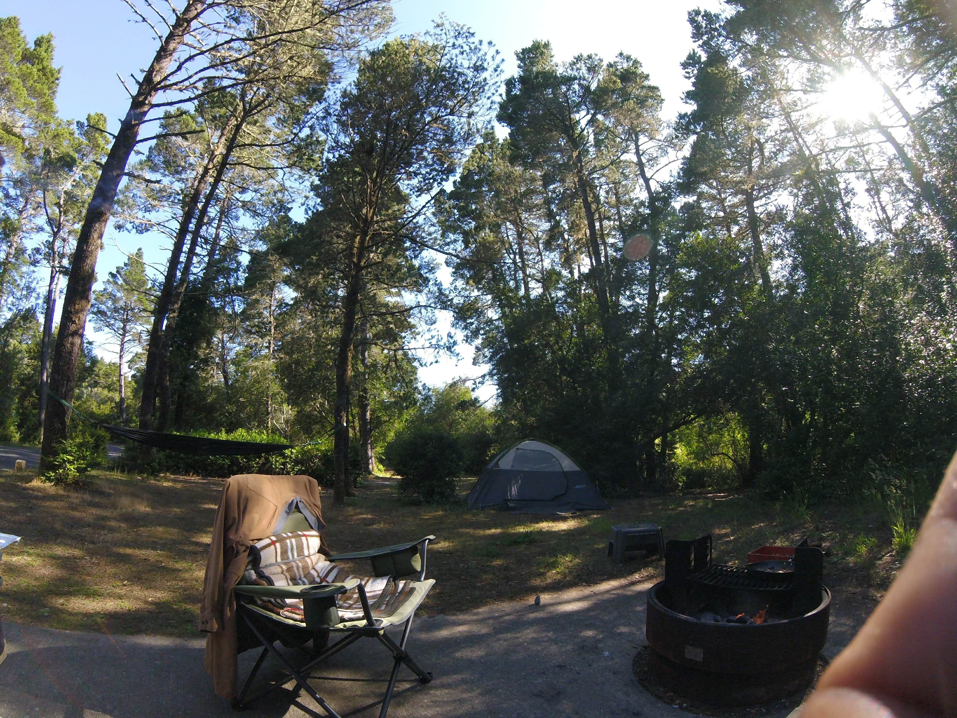 Camper submitted image from Lagoon Campground - 3