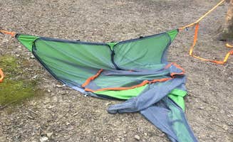 Shelly S.'s photo at Burr Oak State Park Campground near Malta, OH