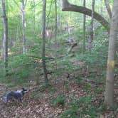 Review photo of Burr Oak State Park Campground by Shelly S., July 8, 2017