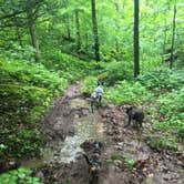 Review photo of Kanawha State Forest by Shelly S., June 27, 2016