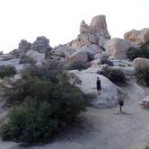 Review photo of Hidden Valley Campground — Joshua Tree National Park by Kuo G., July 18, 2017