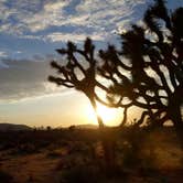 Review photo of Hidden Valley Campground — Joshua Tree National Park by Kuo G., July 18, 2017