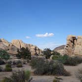 Review photo of Hidden Valley Campground — Joshua Tree National Park by Kuo G., July 18, 2017