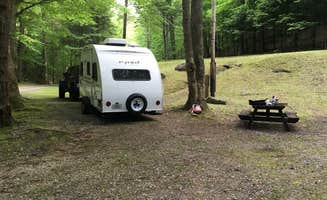 Shelly S.'s photo of rv camping at Kanawha State Forest near Red House, WV