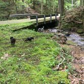 Review photo of Kanawha State Forest by Shelly S., June 27, 2016