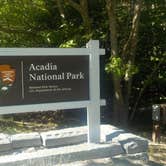 Review photo of Blackwoods Campground — Acadia National Park by Sarah C., July 18, 2017