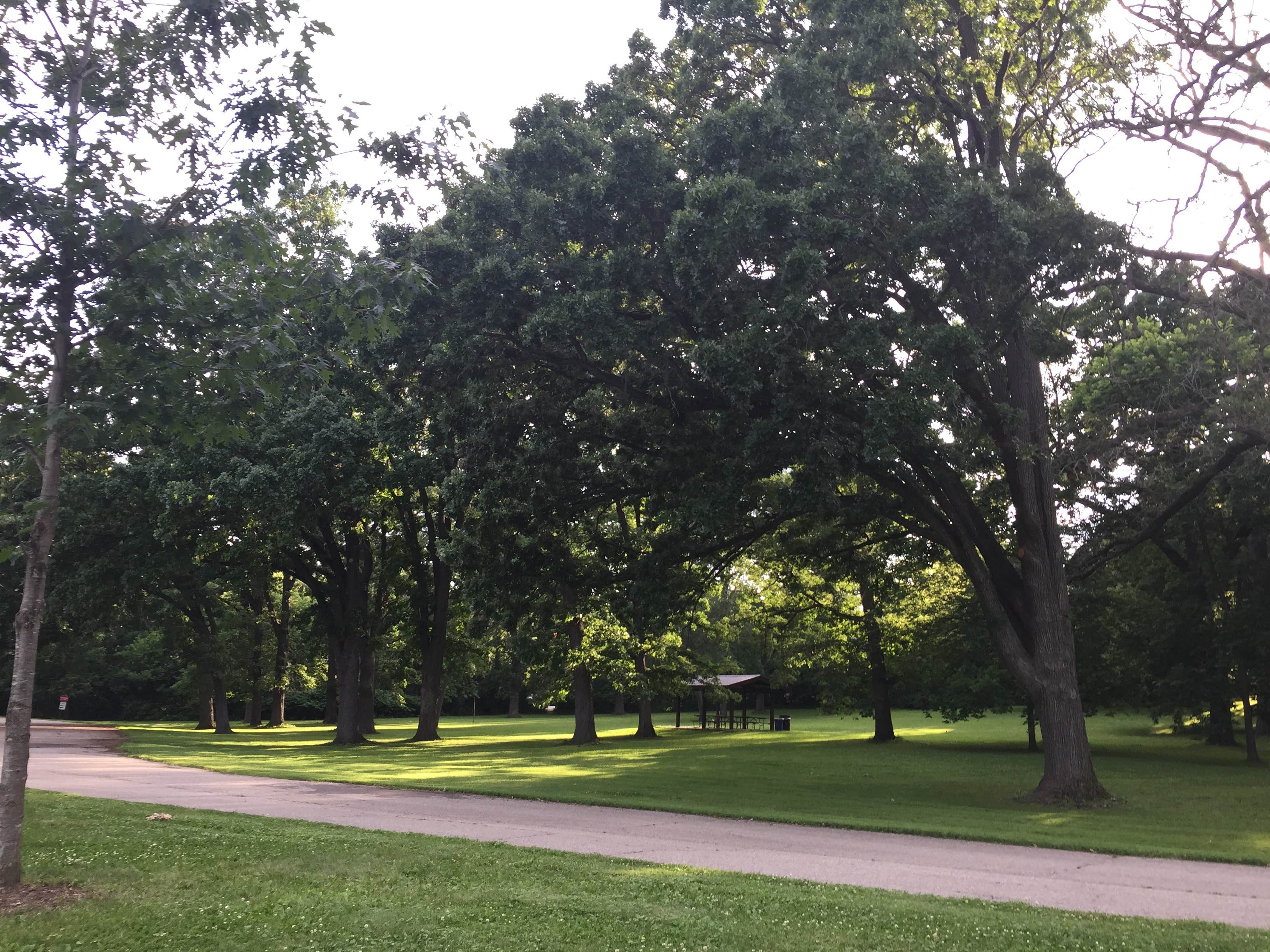 Camping near William G. Lunney Lake Farm Campground (Dane County Park): Mendota County Park, Middleton, Wisconsin