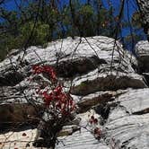 Review photo of Pilot Mountain State Park Campground — Pilot Mountain State Park by Sarah C., July 18, 2017