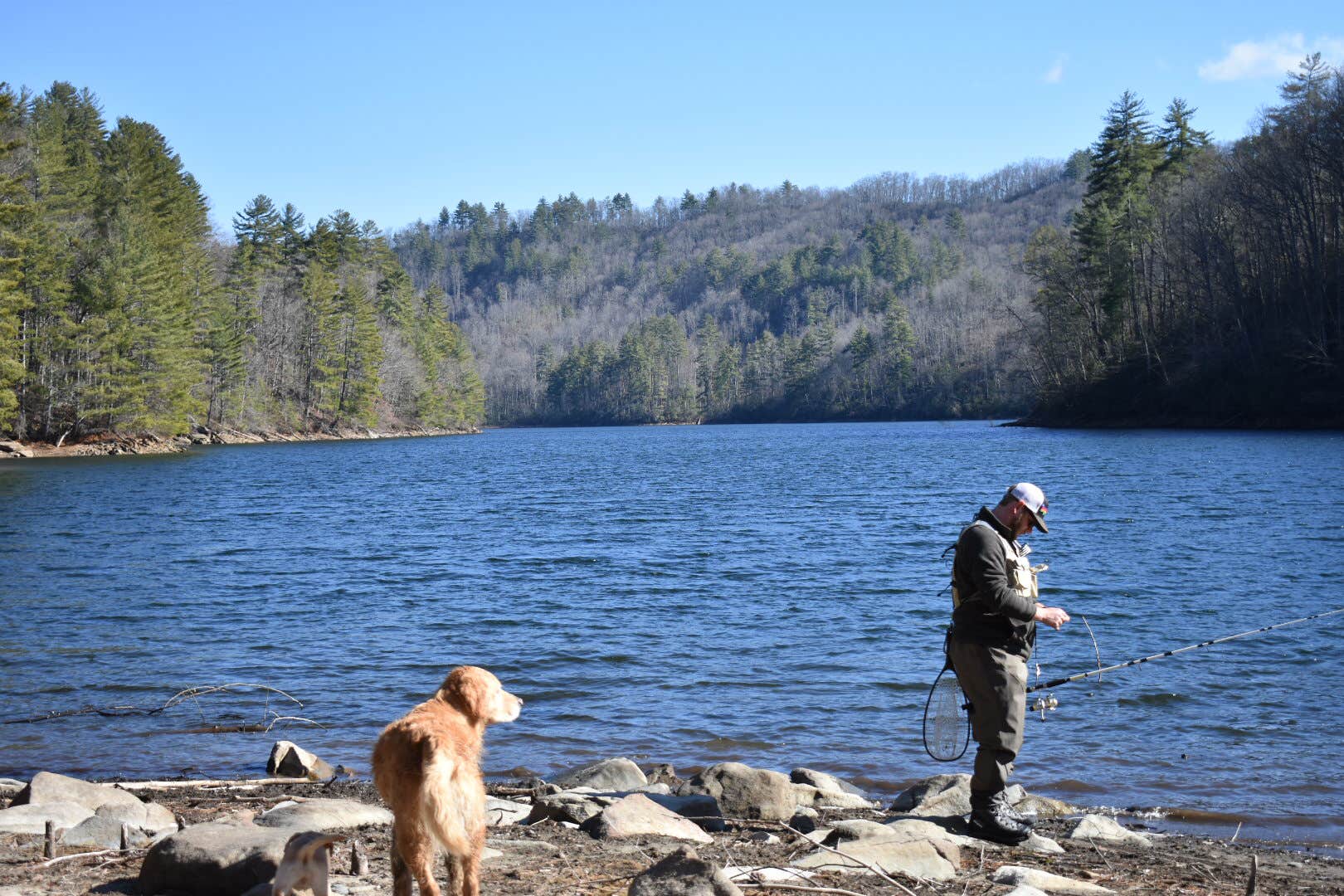 Camper submitted image from Horse Cove - 5