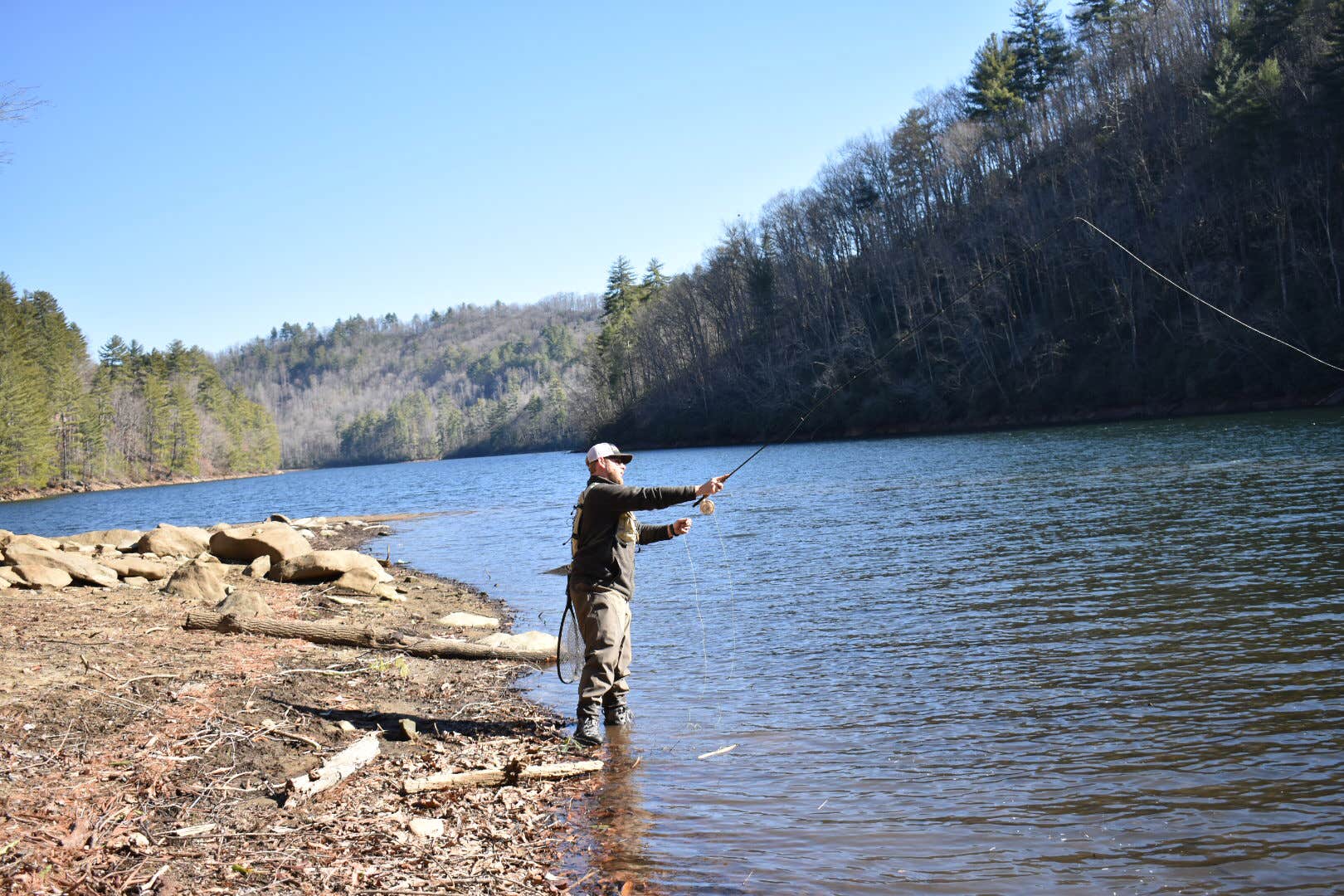 Camper submitted image from Horse Cove - 5