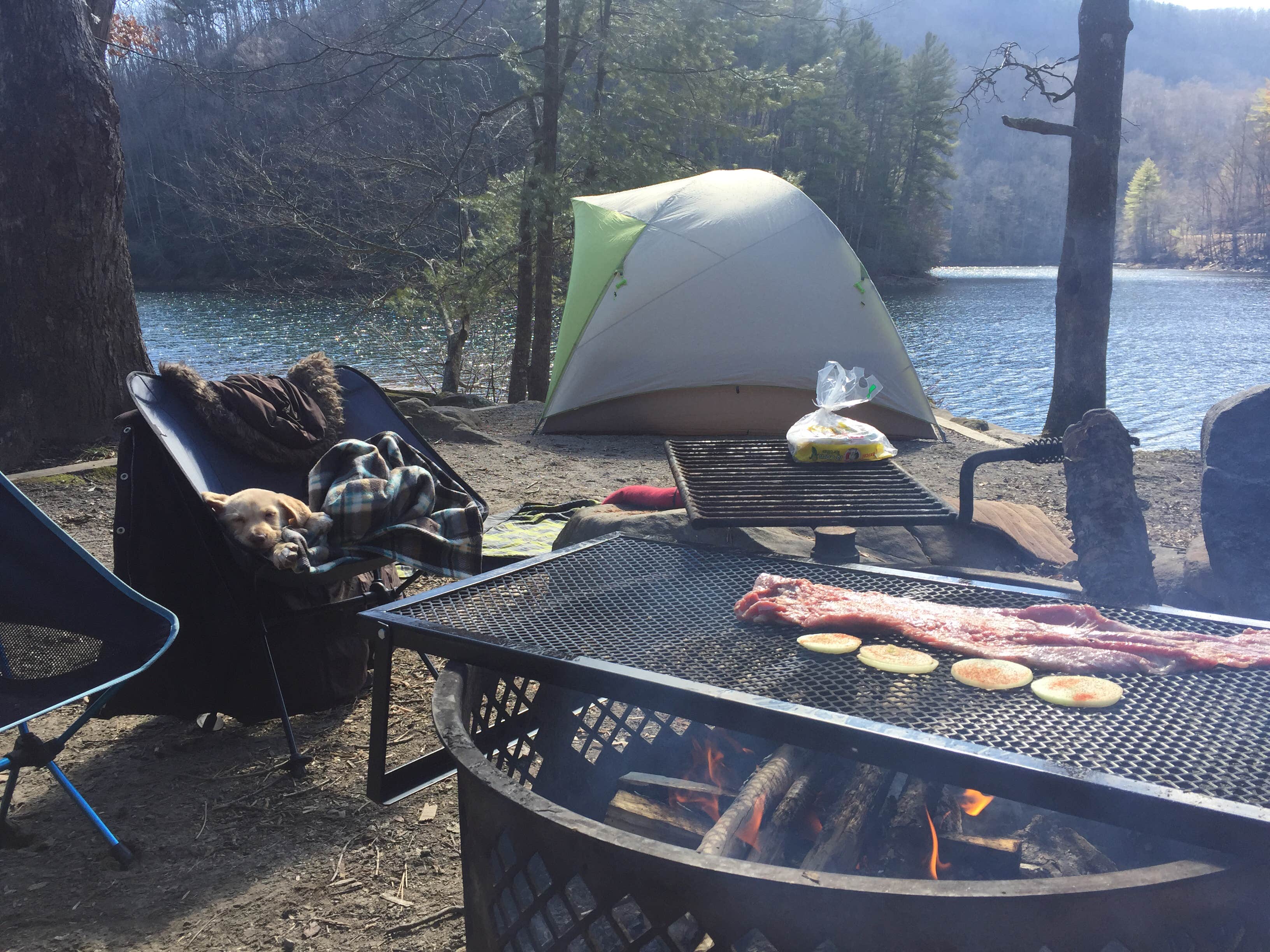 Camper submitted image from Horse Cove - 1