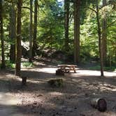 Review photo of La Wis Wis Campground by Patience H., July 18, 2017