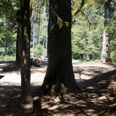 Review photo of La Wis Wis Campground by Patience H., July 18, 2017