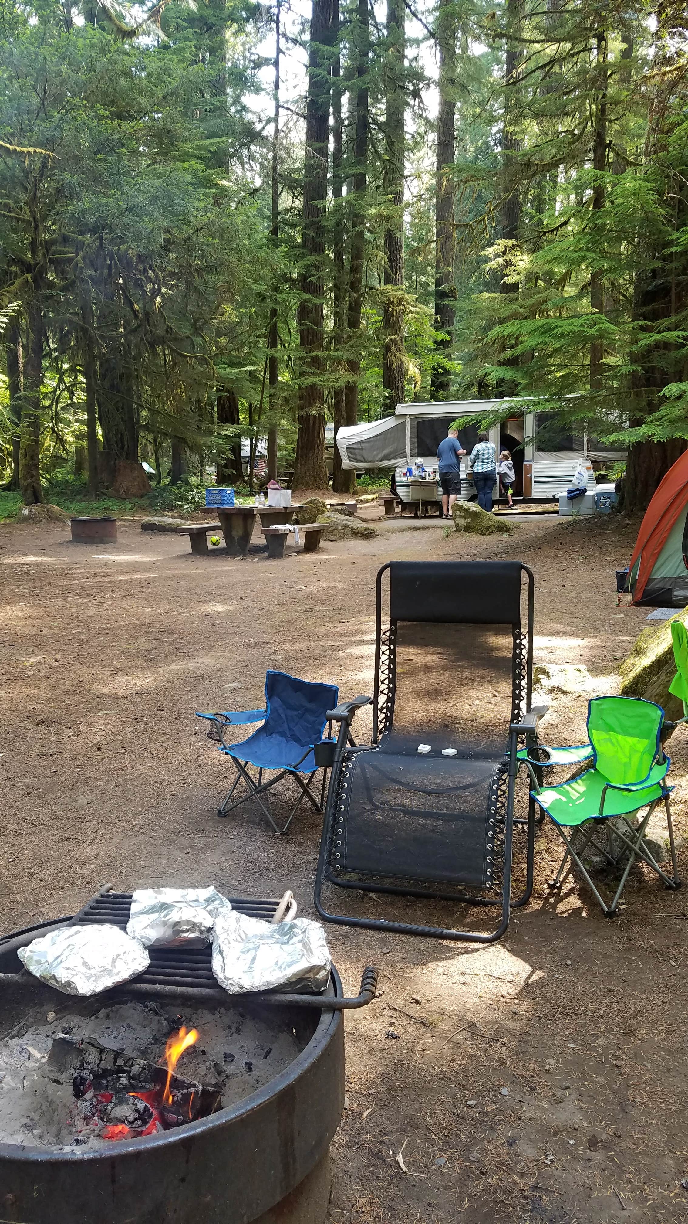 Camper submitted image from La Wis Wis Campground - 2