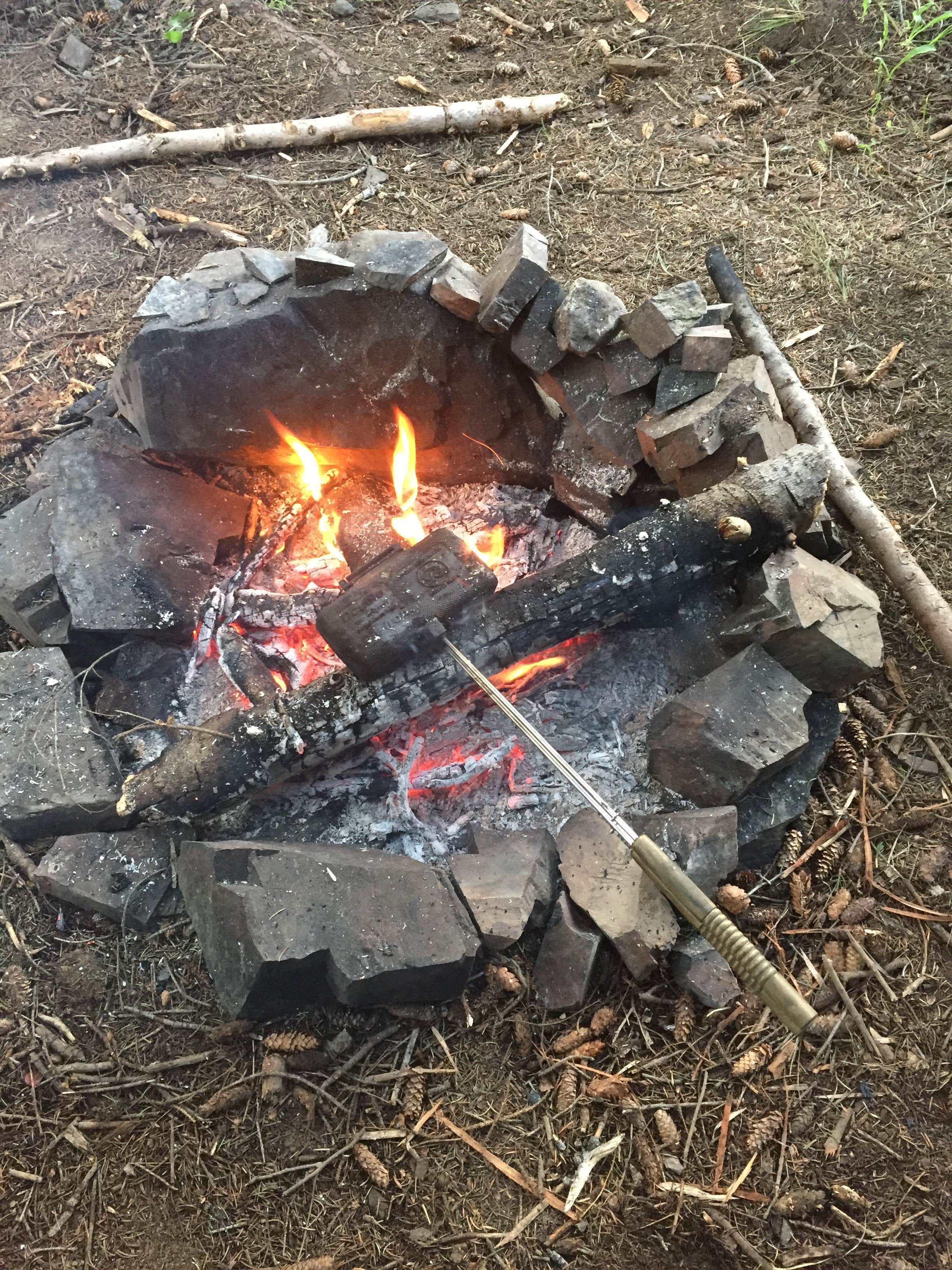 Camper submitted image from Avery Peak Campground - CLOSED - 1