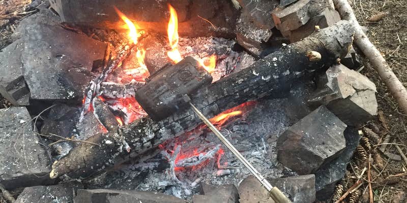 Camper submitted image from Avery Peak Campground - CLOSED