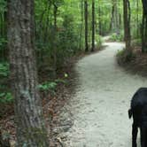 Review photo of Hanging Rock State Park Campground by Sarah C., July 18, 2017