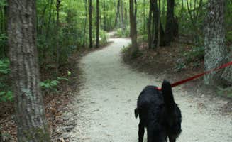 Sarah C.'s photo of camping with pets at Hanging Rock State Park Campground near Lewisville, NC