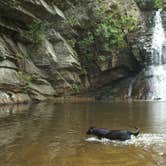 Review photo of Hanging Rock State Park Campground by Sarah C., July 18, 2017