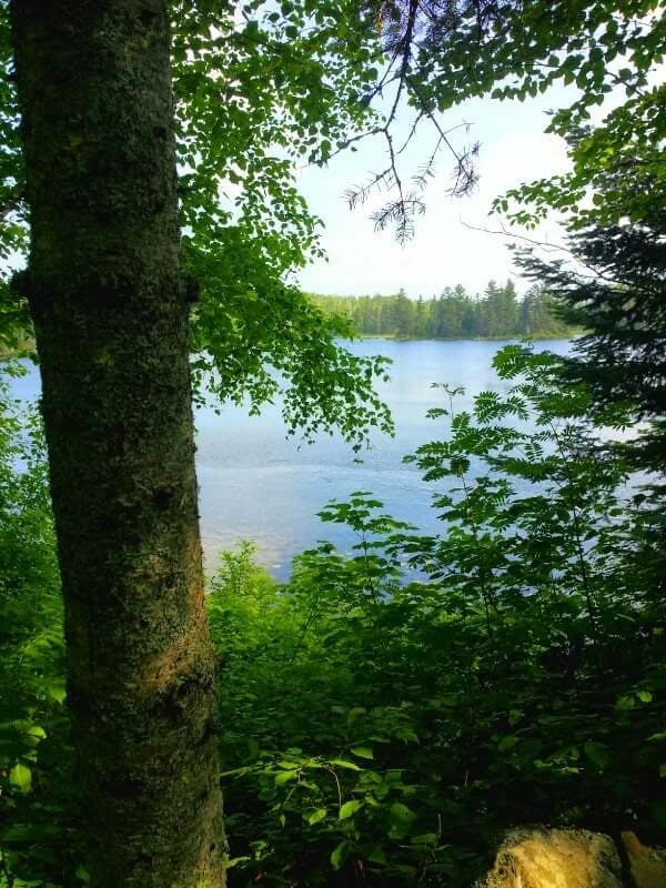 Birch Lake Campground & Backcountry Sites