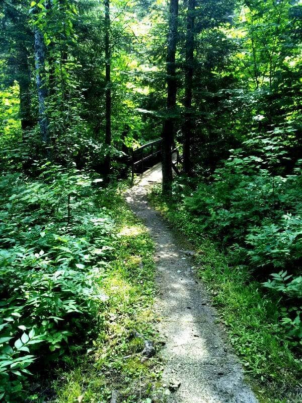Camper submitted image from Birch Lake Campground & Backcountry Sites - 4