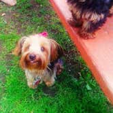 Review photo of Pierz Park by Anne G., July 18, 2017