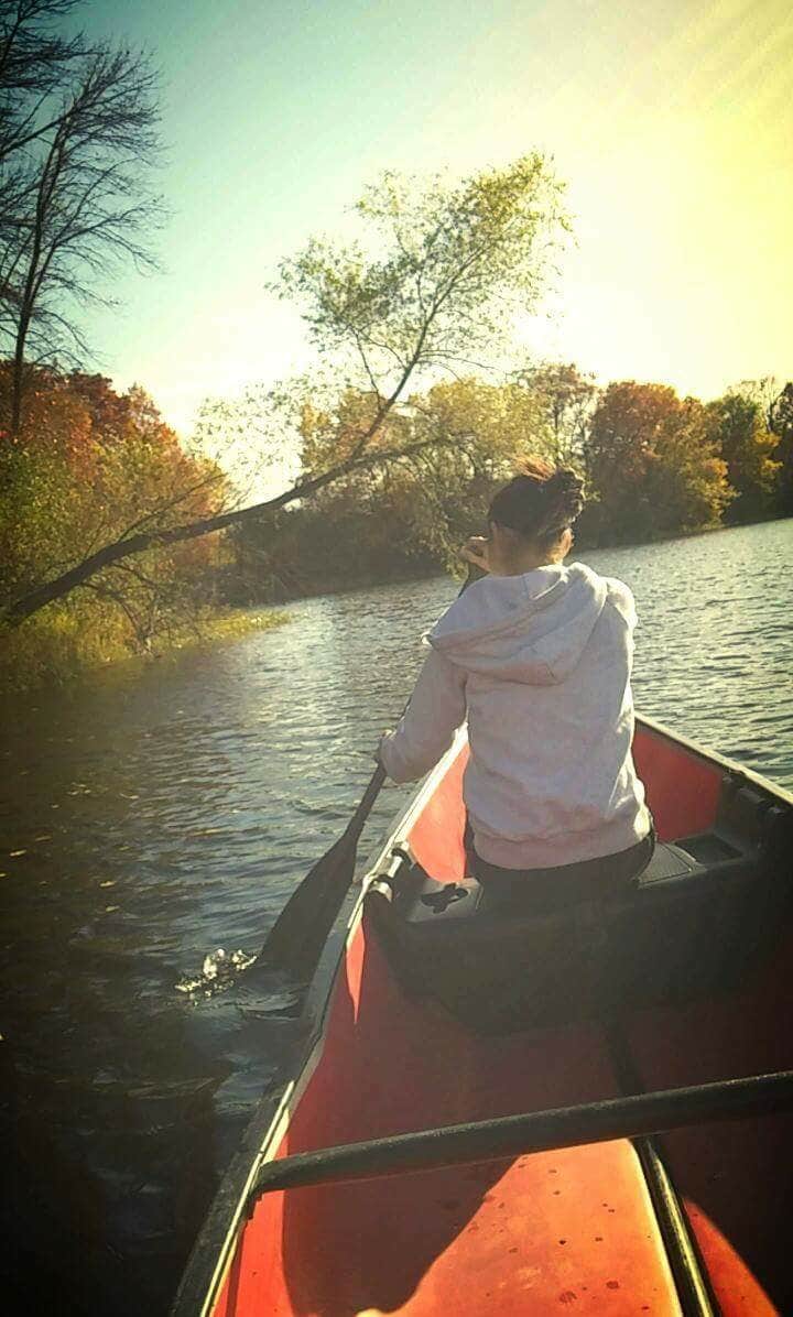Camper submitted image from Lake Koronis Regional Park - 4
