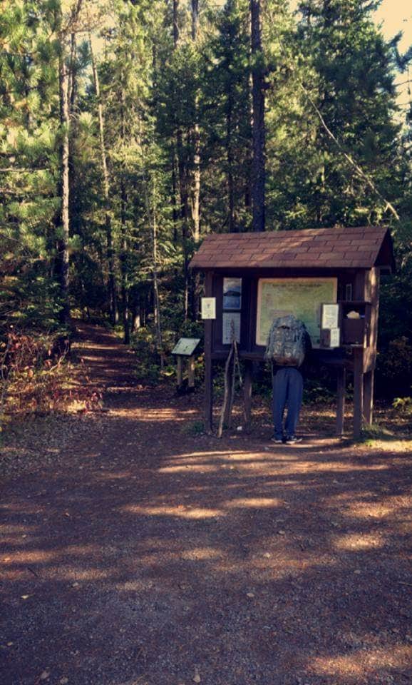 Anne G.'s photo of glamping accommodations at Devil Track Lake Campground in Minnesota