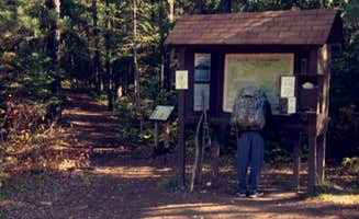 Anne G.'s photo of glamping accommodations at Devil Track Lake Campground near Schroeder, MN