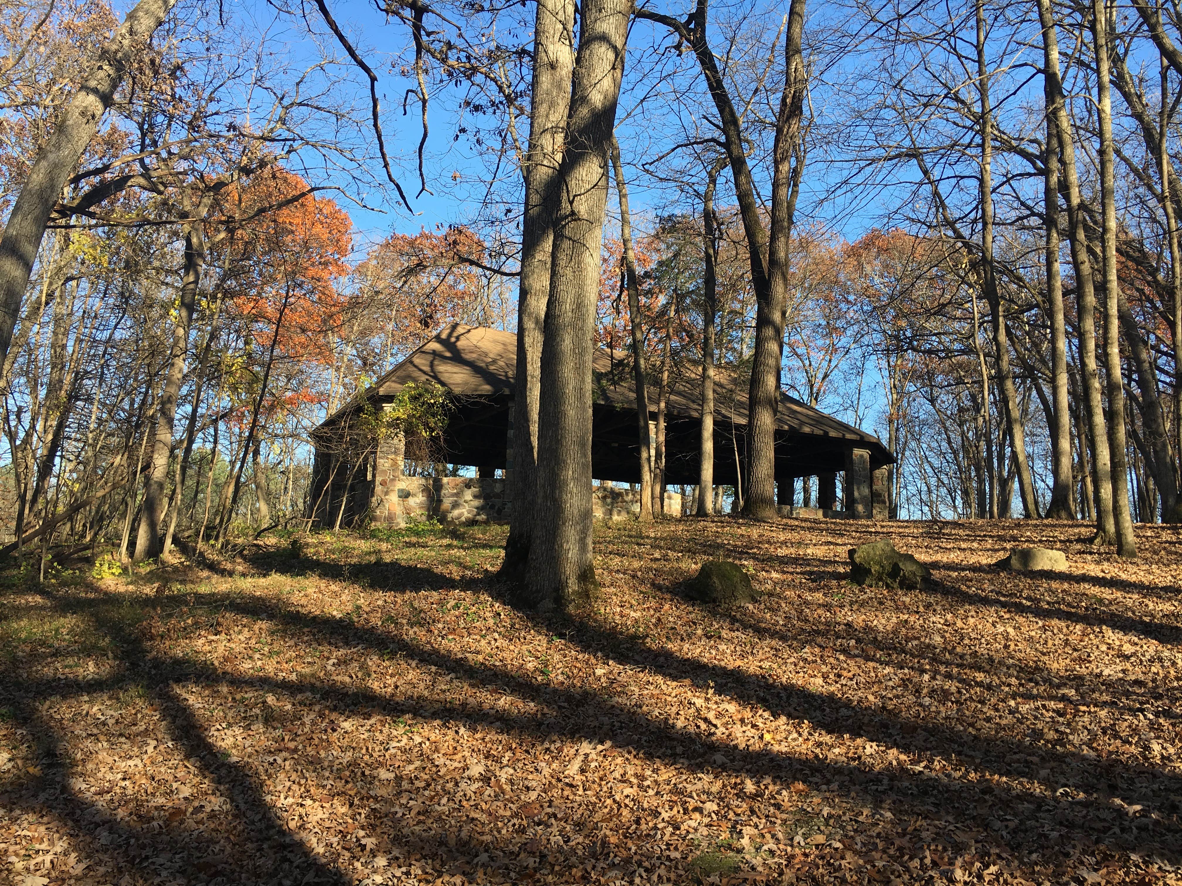 Camper submitted image from Six Pines Campground — Backbone State Park - 5