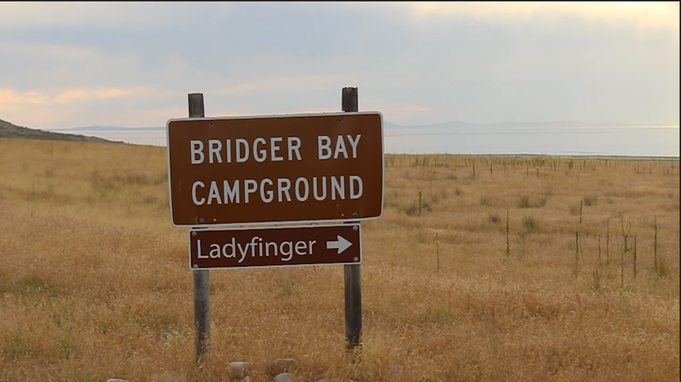 Camper submitted image from Bridger Bay Campground — Antelope Island State Park - 5