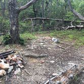 Review photo of Pinhoti Trail Cave Creek Connector Backcountry Campground — Cheaha State Park by Asher K., July 18, 2017