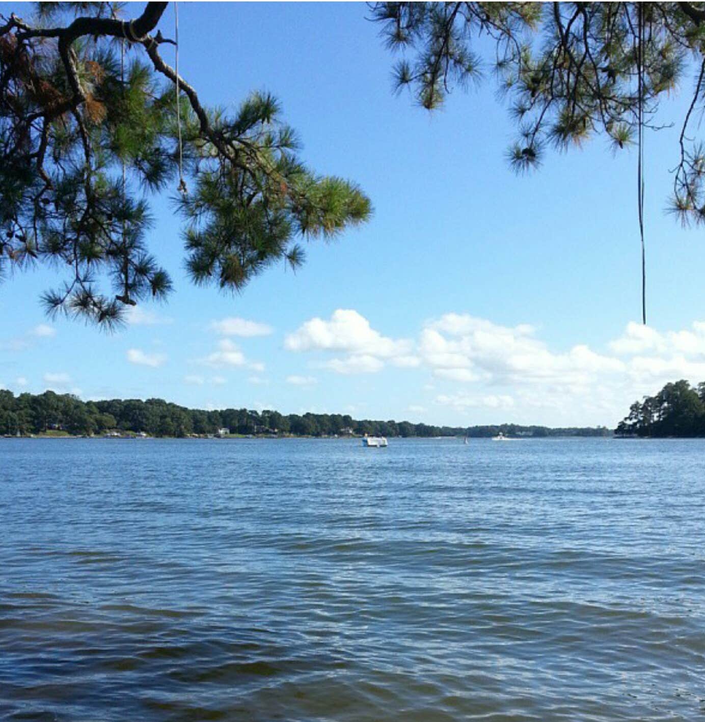 Camper submitted image from First Landing State Park Campground - 4