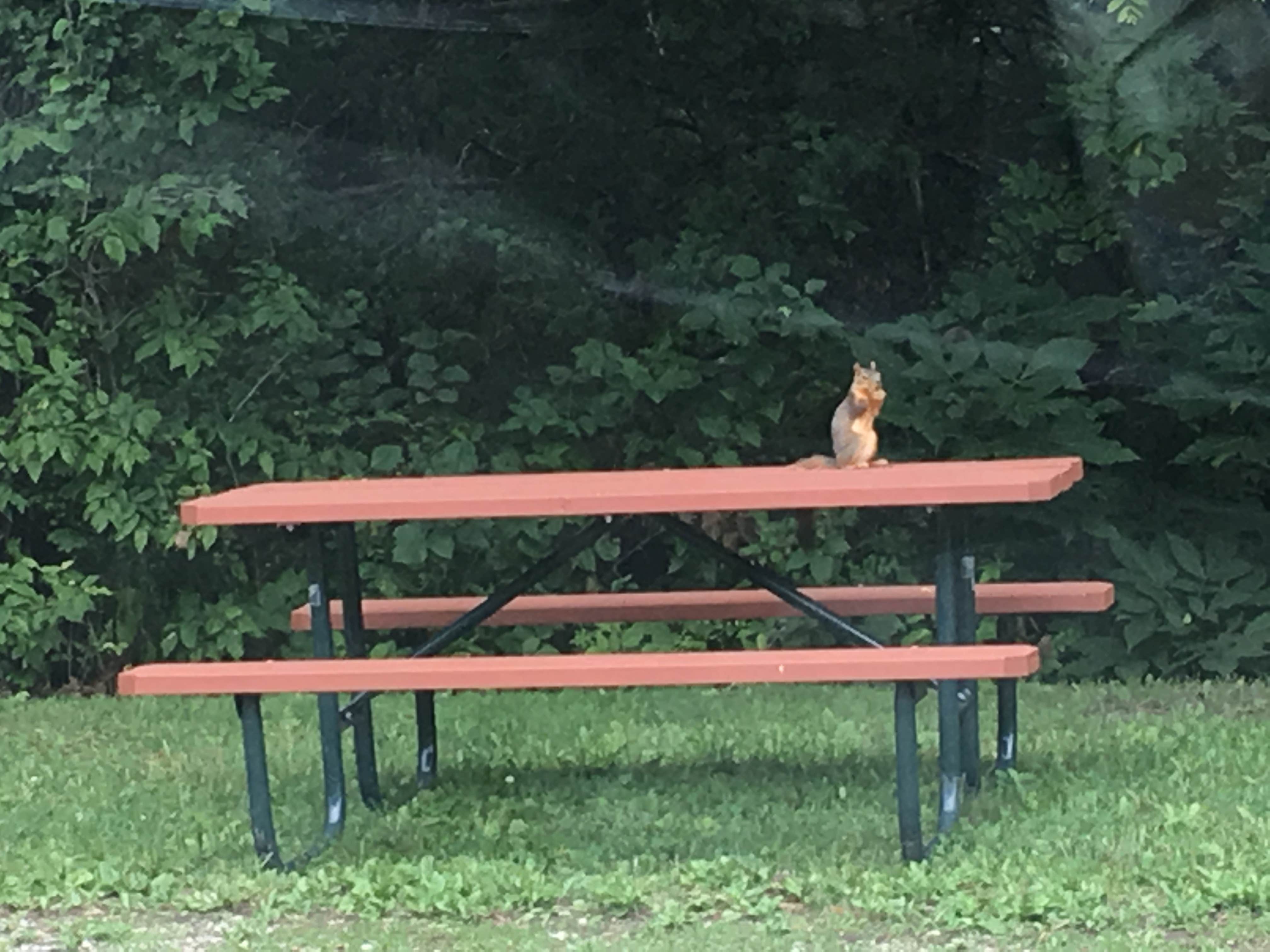 Camper-submitted photo at Nodaway Valley County Park near Villisca, IA