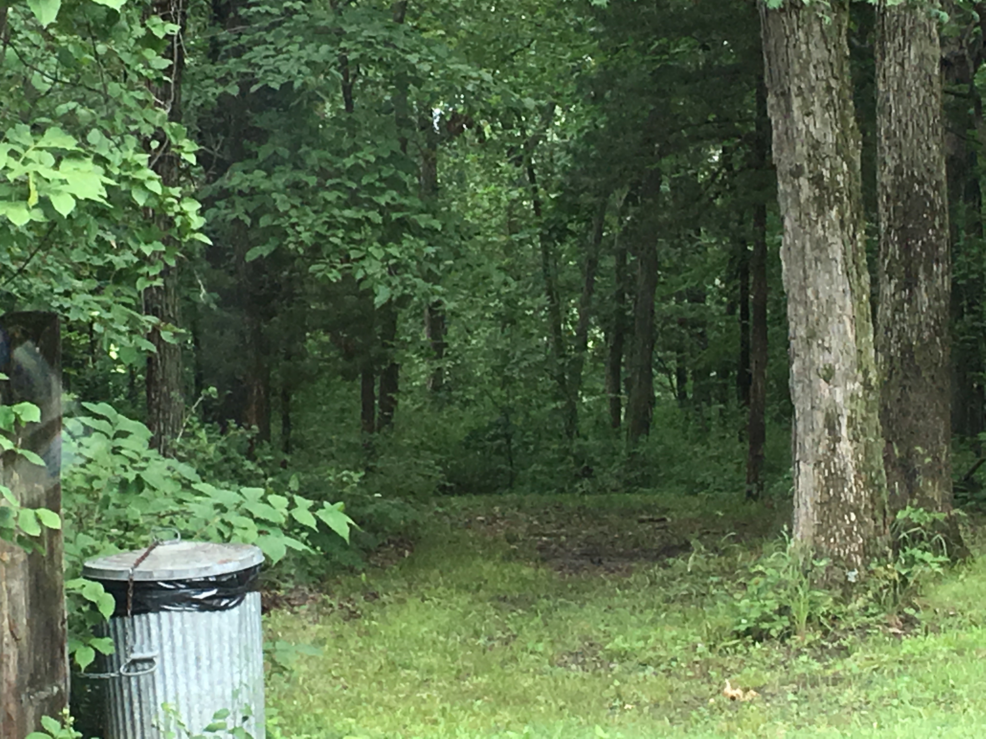 Camper submitted image from Nodaway Valley County Park - 2