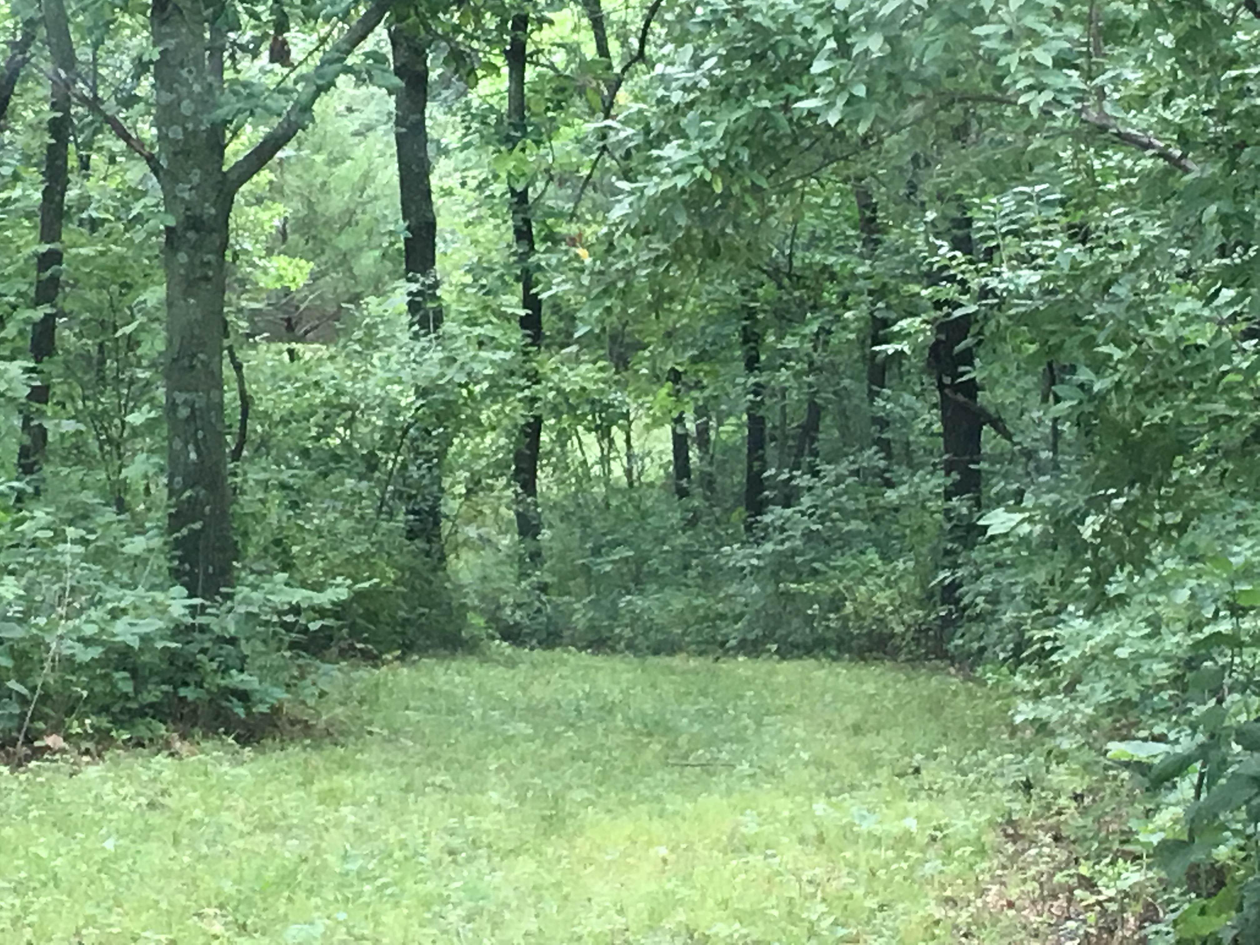 Camper-submitted photo at Nodaway Valley County Park near Villisca, IA