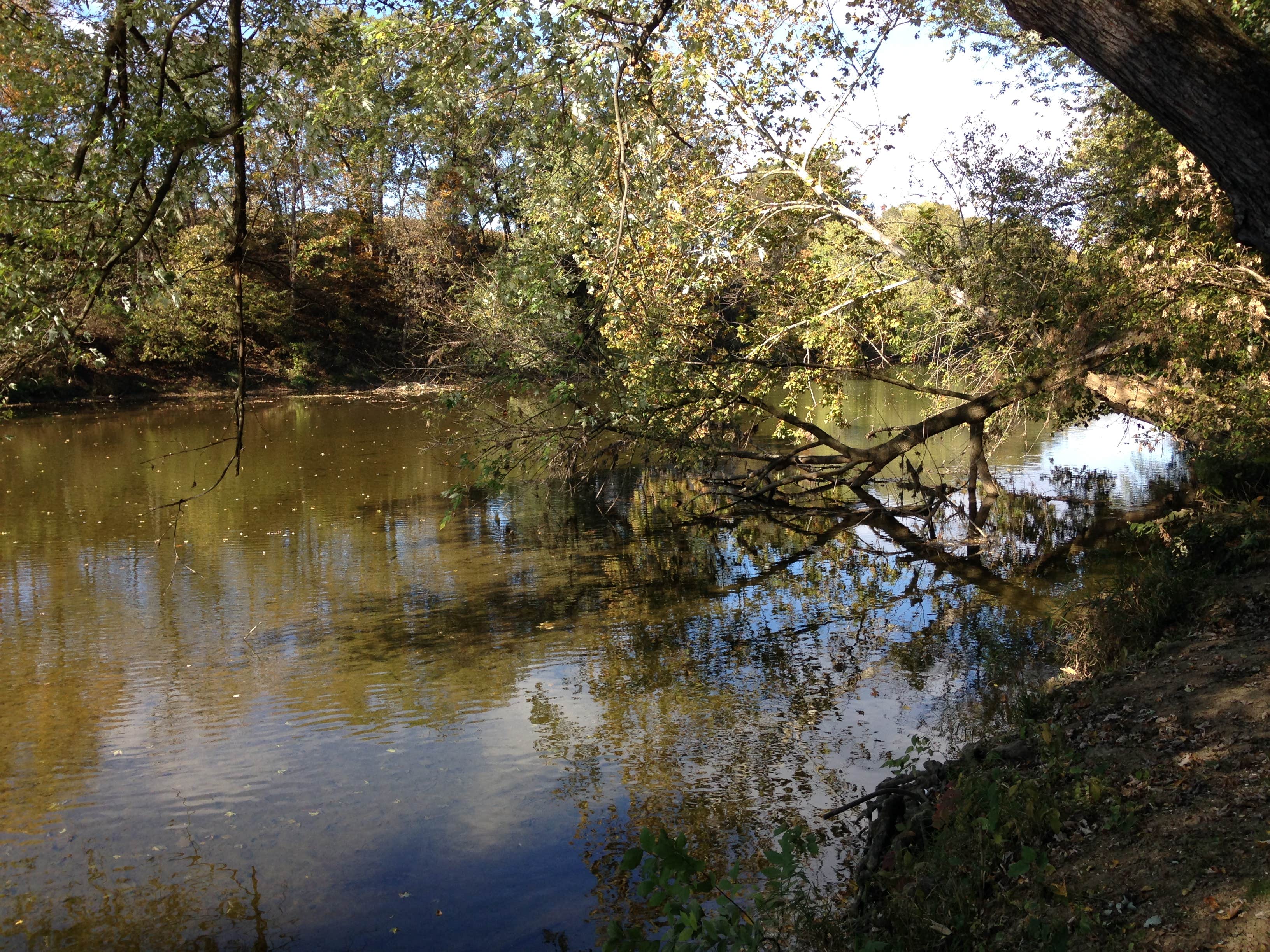 Camper-submitted photo at Hagerstown / Antietam Battlefield KOA near Cross Junction, VA