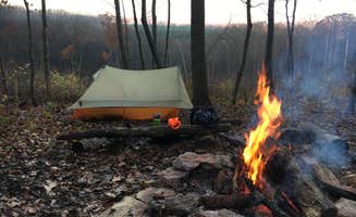 Matt S.'s photo at Camp Glen Wendel Primitive Backcountry — Yellow River State Forest in Iowa