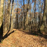 Review photo of Camp Glen Wendel Primitive Backcountry — Yellow River State Forest by Matt S., July 18, 2017