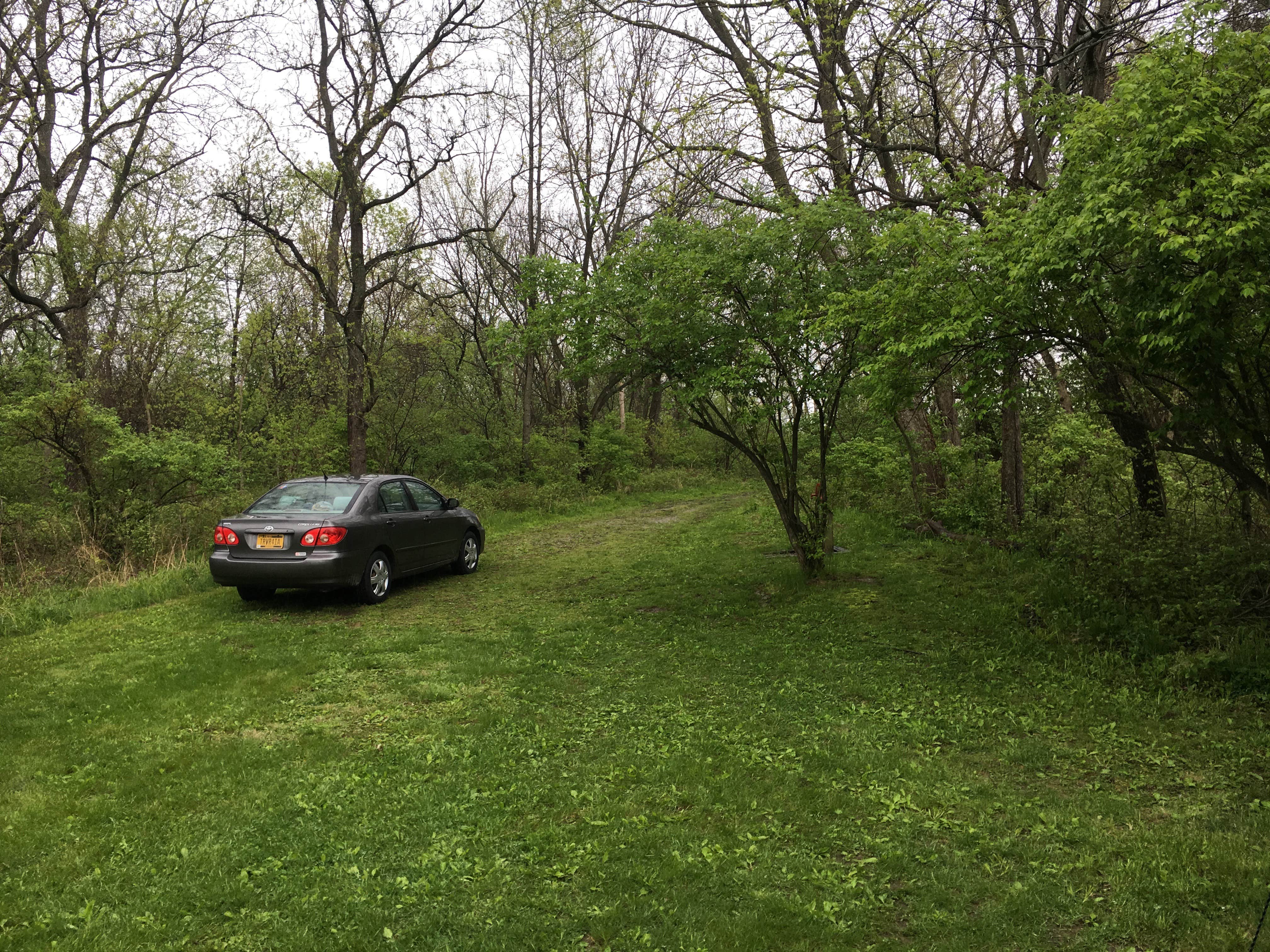 Camper submitted image from Equestrian Campground — Elk Rock State Park - 4