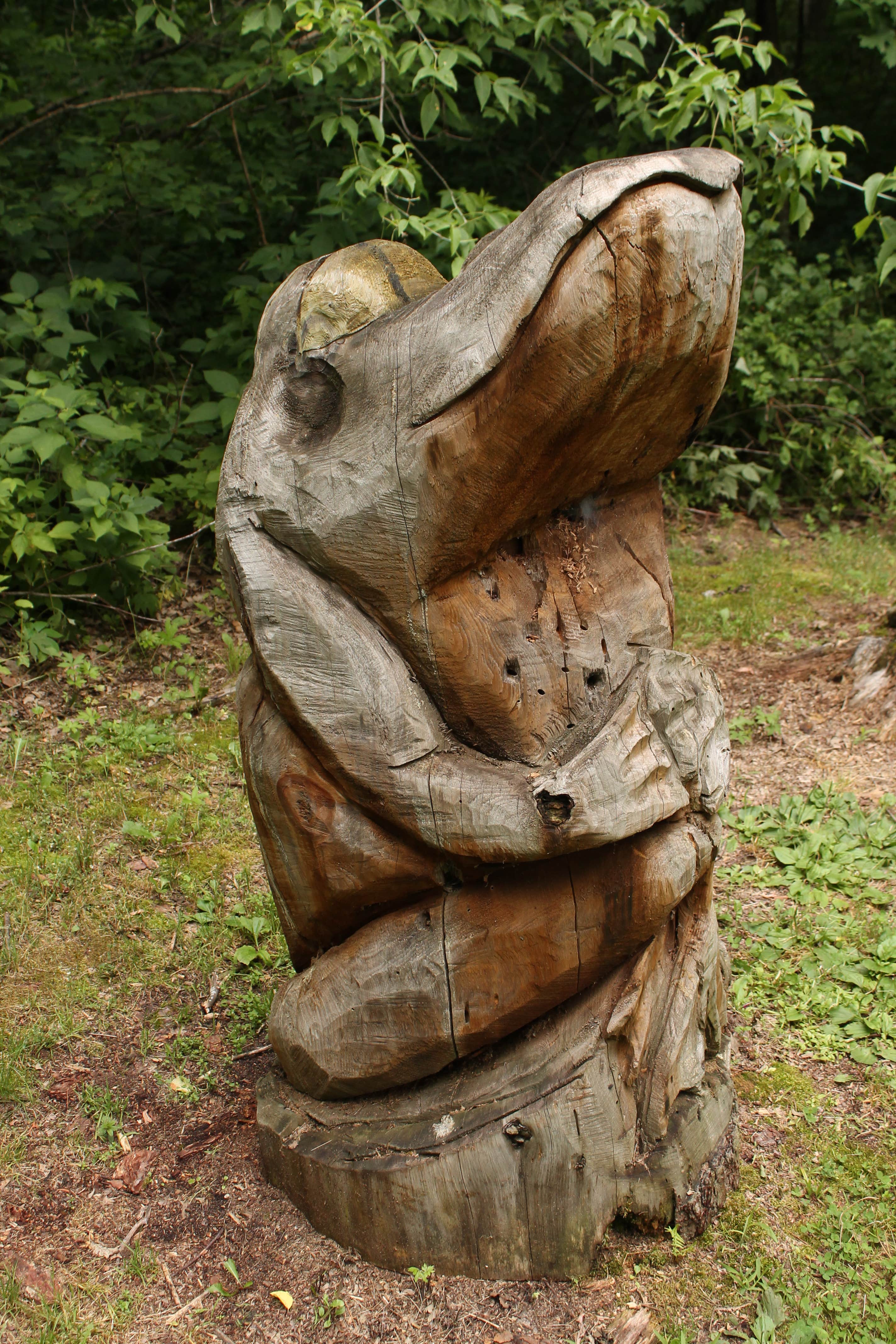 Camper-submitted photo at Charles A. Lindbergh State Park Campground near Little Falls, MN