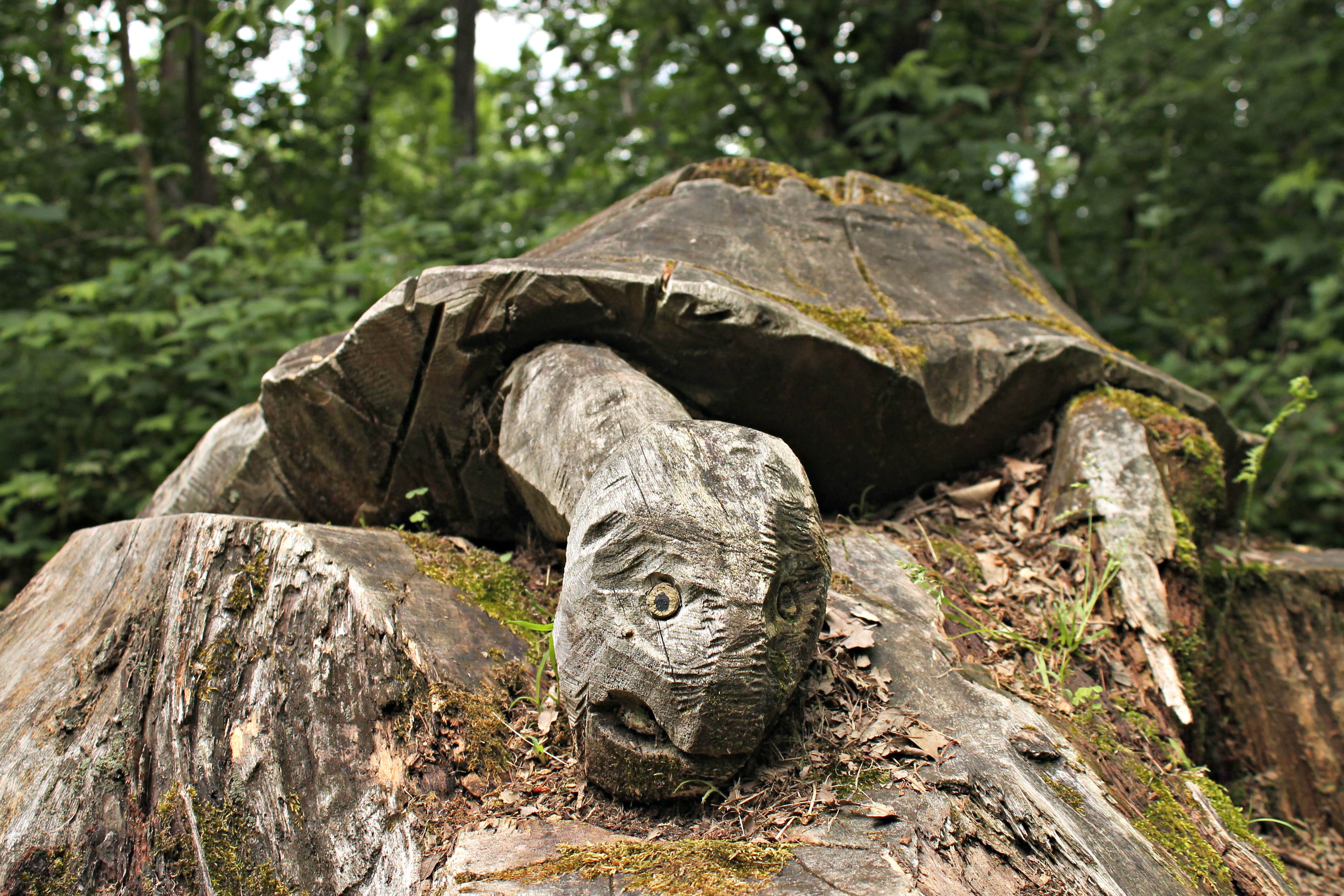 Camper-submitted photo at Charles A. Lindbergh State Park Campground near Little Falls, MN
