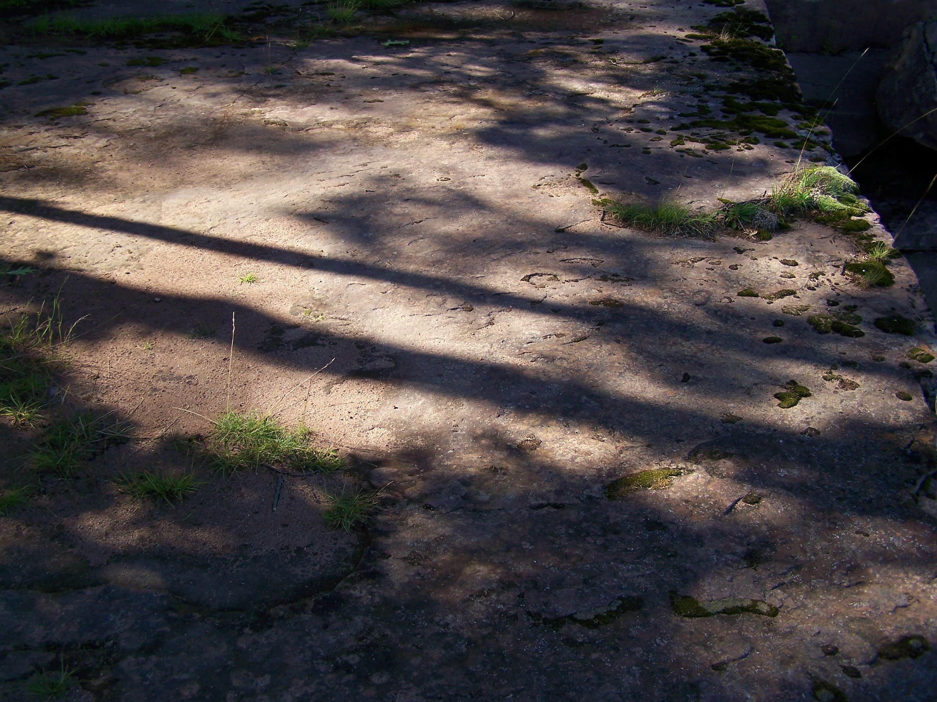 Camper submitted image from Big Bay State Park Campground - 2