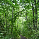 Review photo of Moorings Campground by Nancy W., July 18, 2017