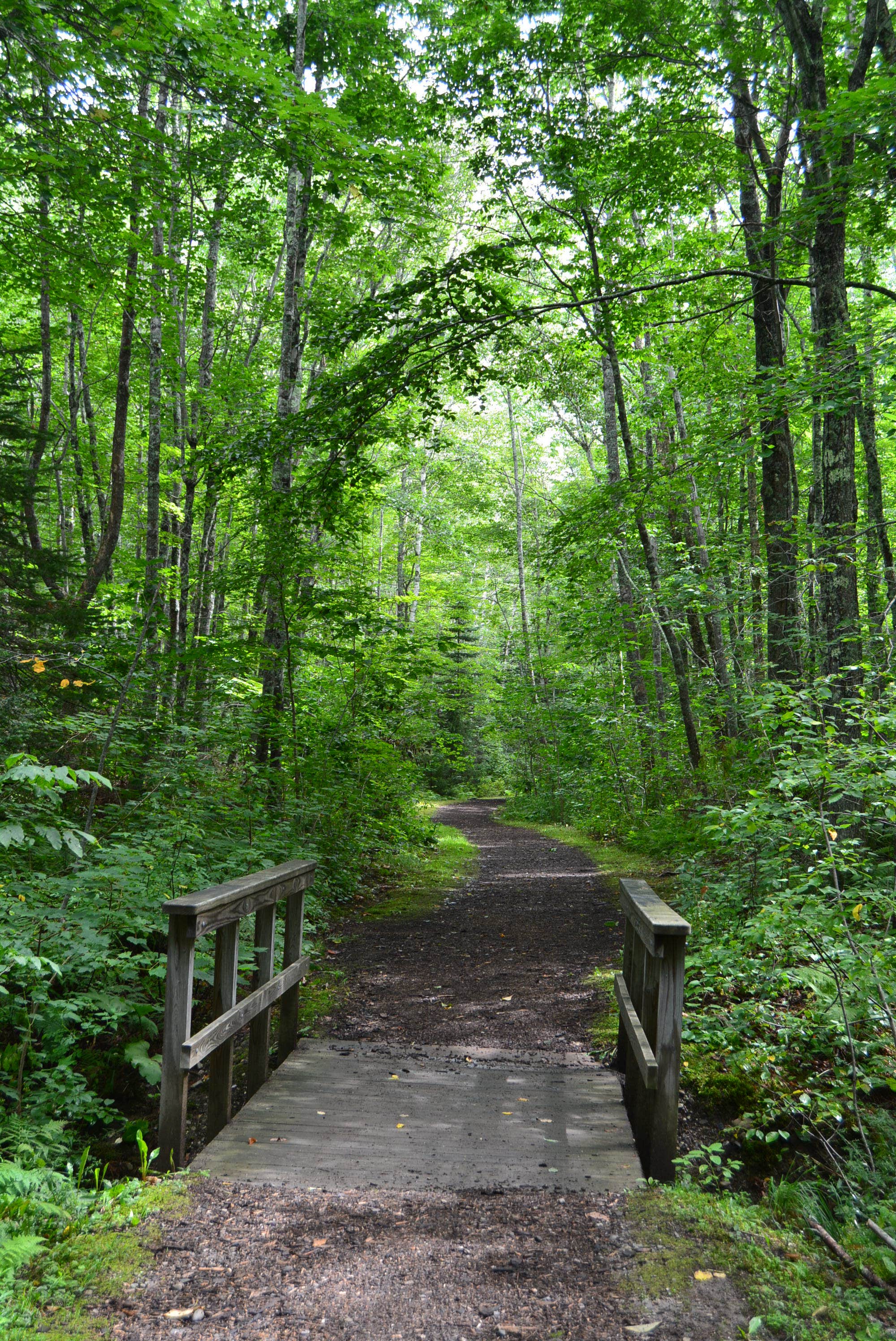 Camper submitted image from Moorings Campground - 3