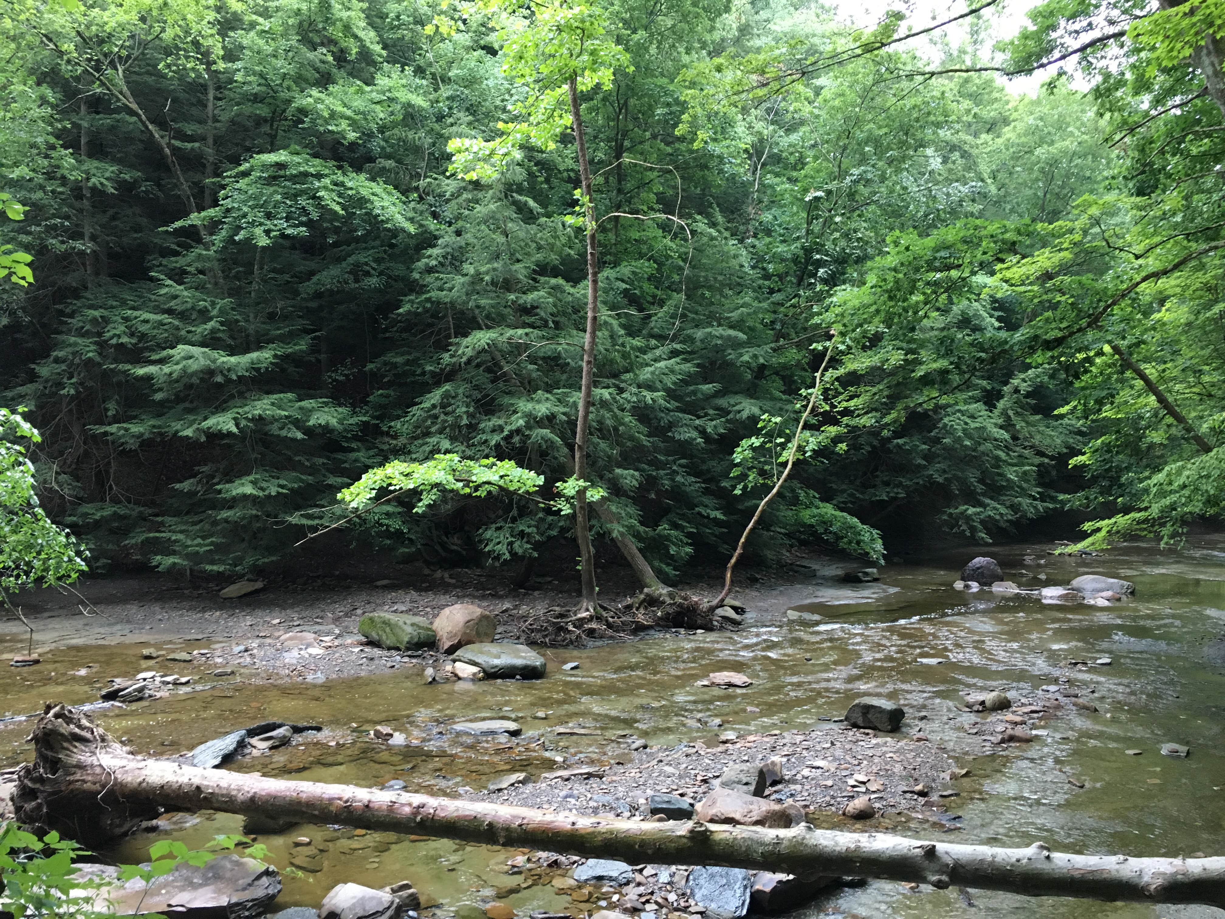 Camper submitted image from Streetsboro-Cleveland SE KOA - 2