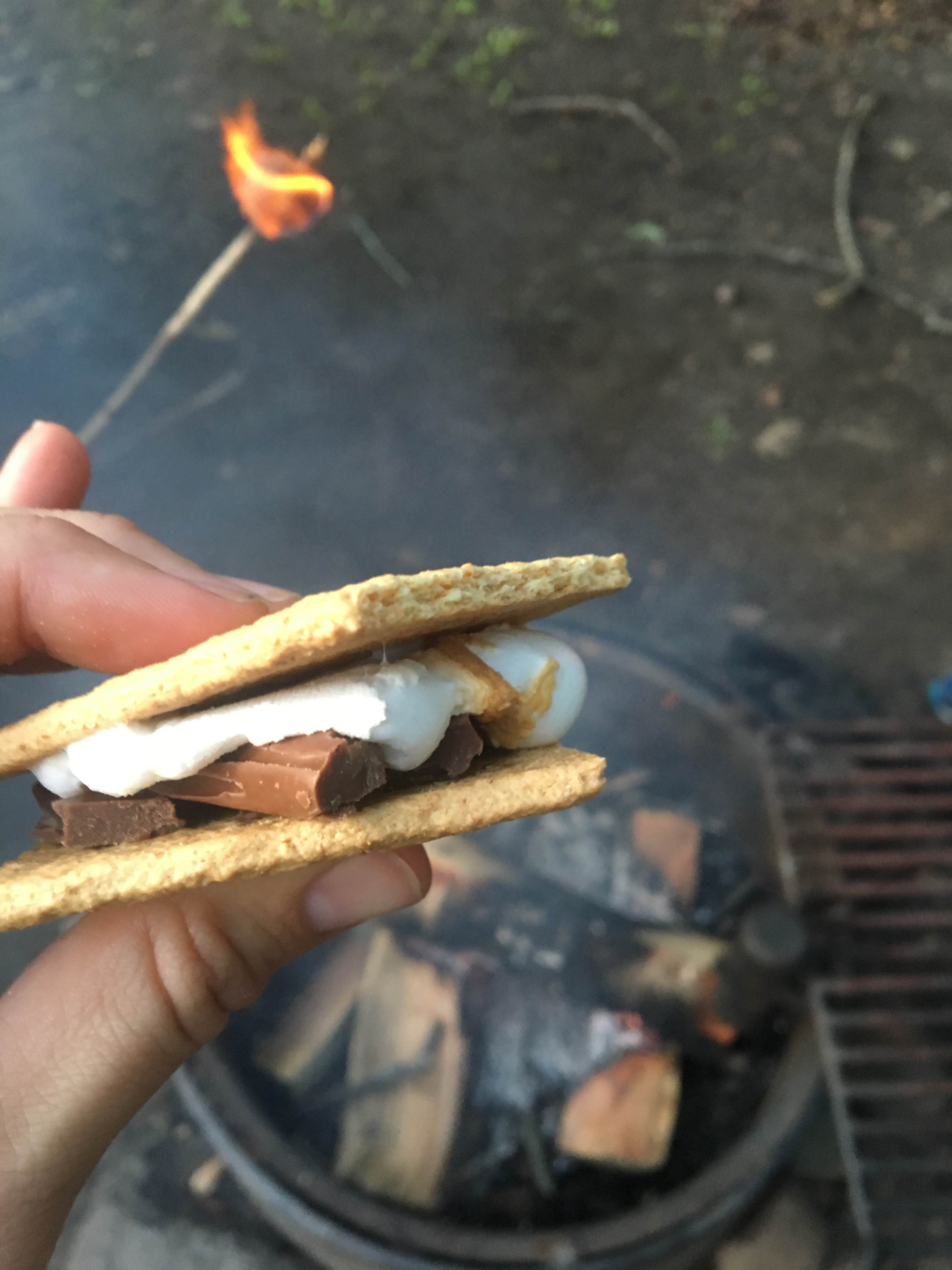 Camping near Bertram Chain of Lakes Regional Park Campground: Lake Maria State Park Campground, Silver Creek, Minnesota