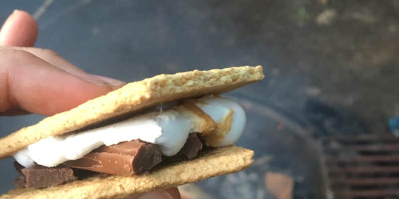 Camper submitted image from Lake Maria State Park Campground