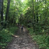 Review photo of Lake Maria State Park Campground by Steph H., July 18, 2017