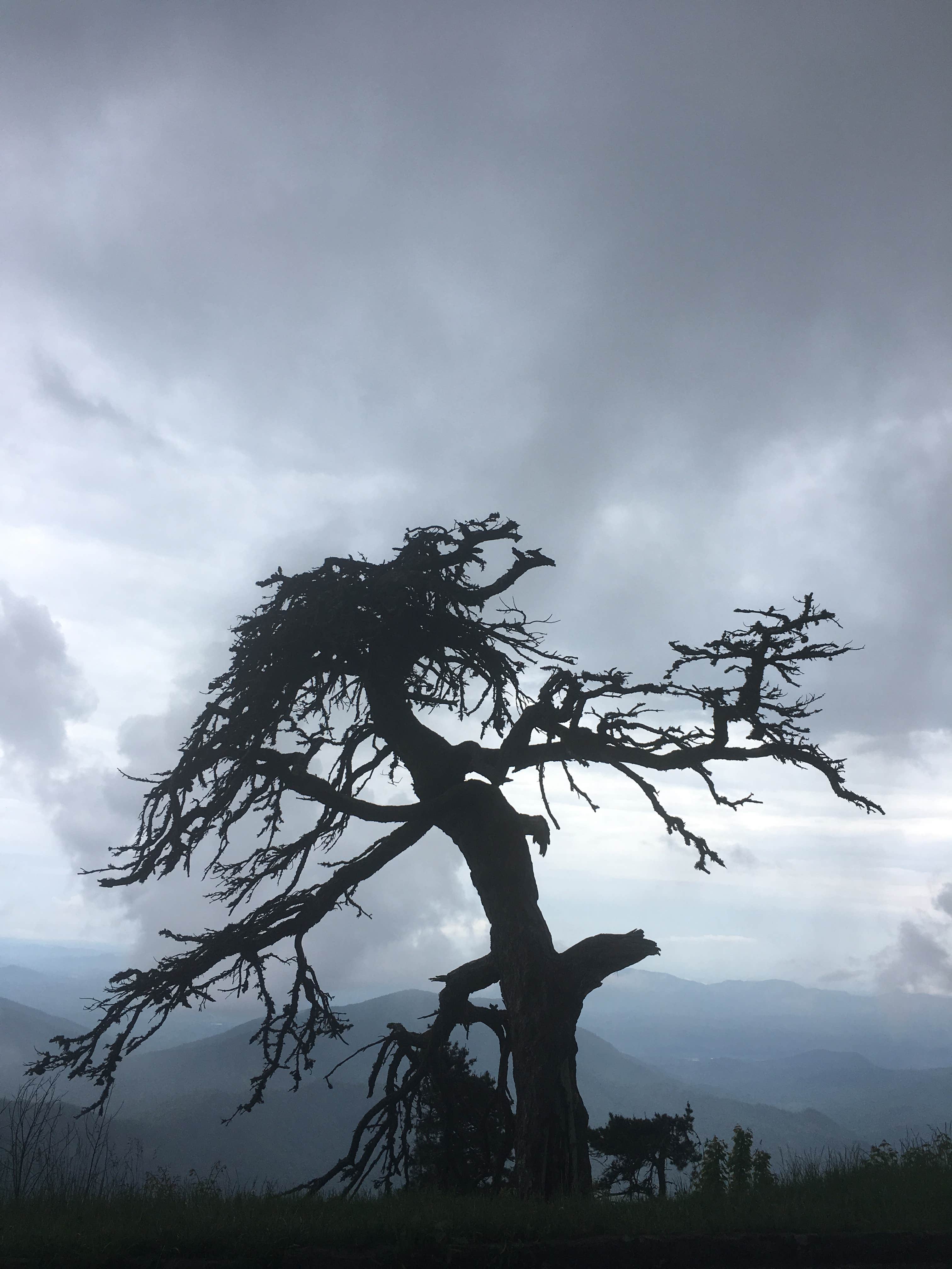 Camper-submitted photo at Asheville East KOA near Swannanoa, NC